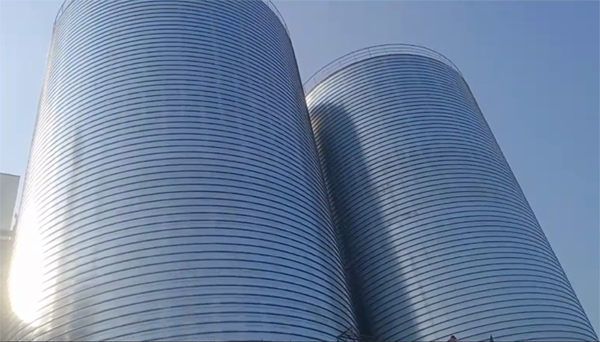 平顶山2座混凝土高架卷板仓